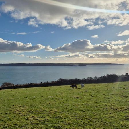 Coast Path Camping Saint Ishmaels  Eksteriør bilde