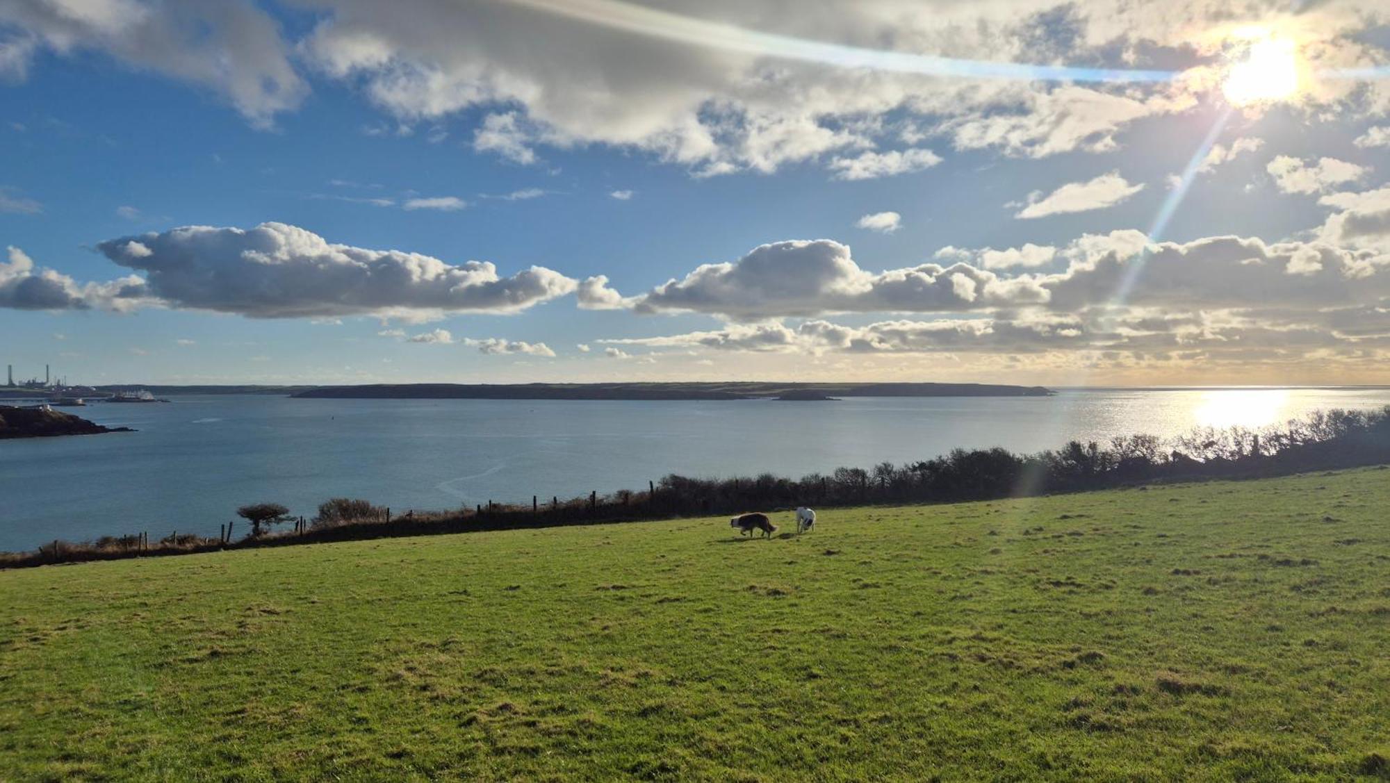 Coast Path Camping Saint Ishmaels  Eksteriør bilde
